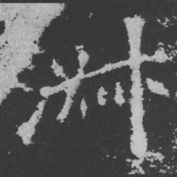 魏碑淑书法图片