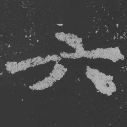 魏碑六书法图片