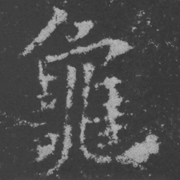 魏碑龟书法图片