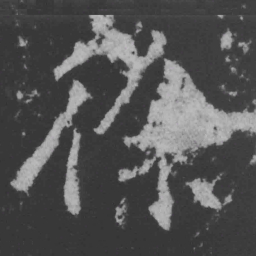 魏碑徐书法图片