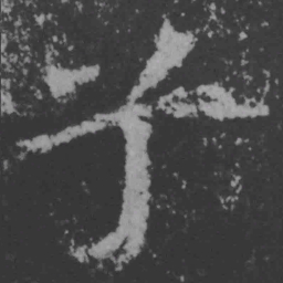魏碑兮书法图片