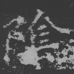 魏碑阴书法图片
