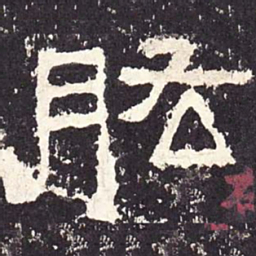 肱书法图片