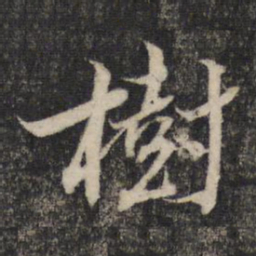 王宠同书法图片