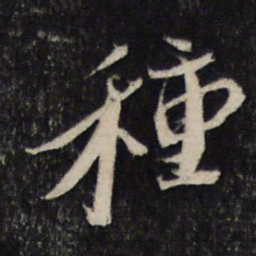蔡襄种书法图片