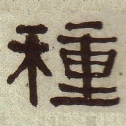 何绍基种书法图片