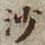 何绍基沙书法图片