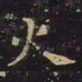 王羲之火书法图片