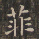 菲书法图片