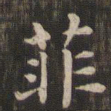 菲书法图片