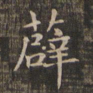 薜书法图片