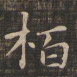 柏书法图片