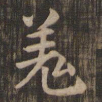 羌书法图片