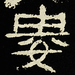 婁书法图片