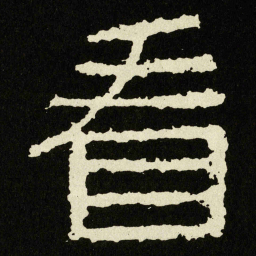 看书法图片