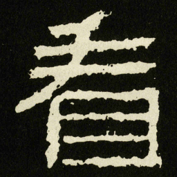 看书法图片