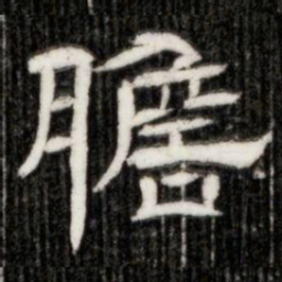膽书法图片
