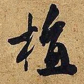 米芾植书法图片