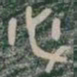必书法图片