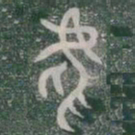 虎书法图片
