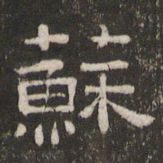 苏书法图片