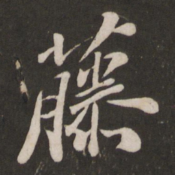 苏轼藤书法图片