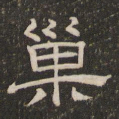 巢书法图片