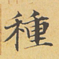 赵孟頫种书法图片