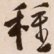 徐渭种书法图片