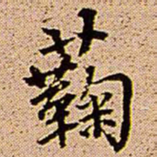 王铎菊书法图片