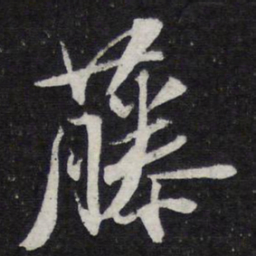 苏轼藤书法图片