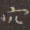 虞世南穴书法图片
