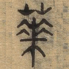 华书法图片