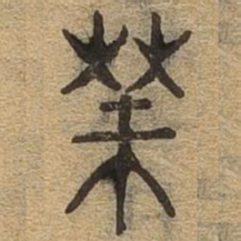 华书法图片