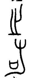 持书法图片