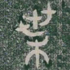 葉书法图片