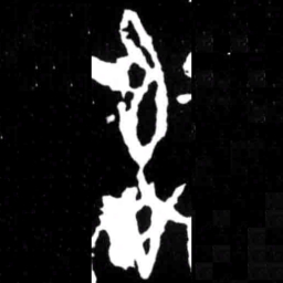 追书法图片
