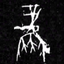 風书法图片