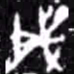 戌书法图片