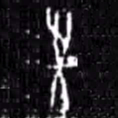 往书法图片