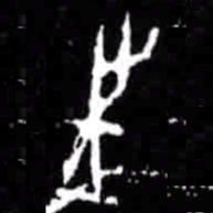 往书法图片