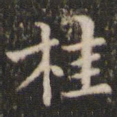 董其昌桂书法图片
