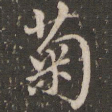董其昌菊书法图片