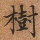 赵孟頫树书法图片