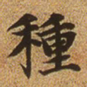 赵孟頫种书法图片
