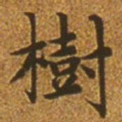 赵孟頫树书法图片