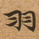 赵孟頫羽书法图片