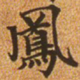 赵孟頫凤书法图片