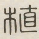 植书法图片