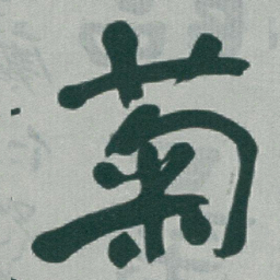 于右任菊书法图片